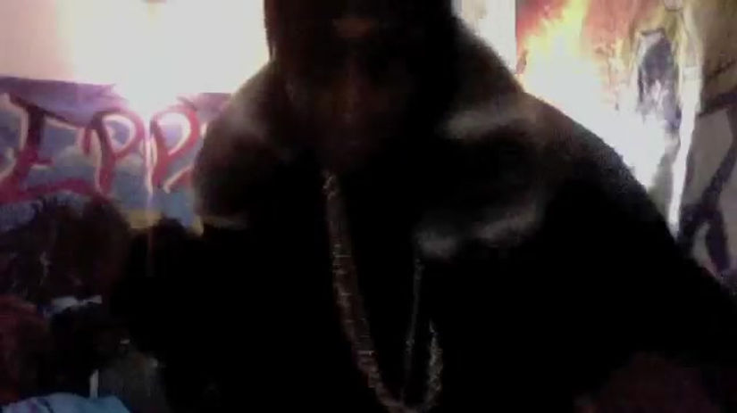 THE FLY LIFE